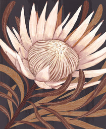 Ember Floral I