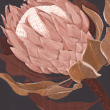 Ember Floral II Small (465mm W x 560mm H) / Standard Clear Glass