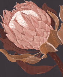Ember Floral II