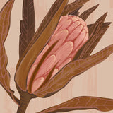 Ember Floral VI Small (465mm W x 560mm H) / Standard Clear Glass