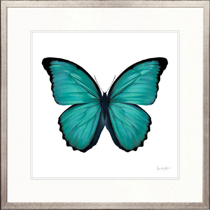 Emporio Butterfly V