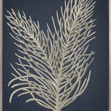 Coral Curiosity I (Canvas)