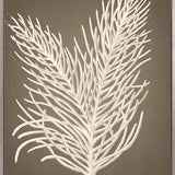 Coral Curiosity IV (Canvas)