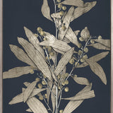 Botanical Etching I (Canvas)