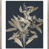 Botanical Etching I