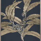 Botanical Etching II (Canvas)