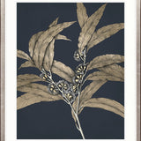Botanical Etching II