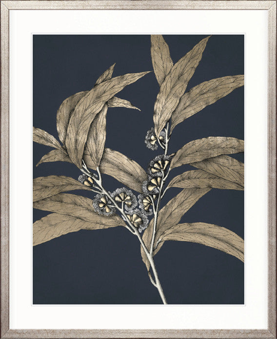 Botanical Etching II