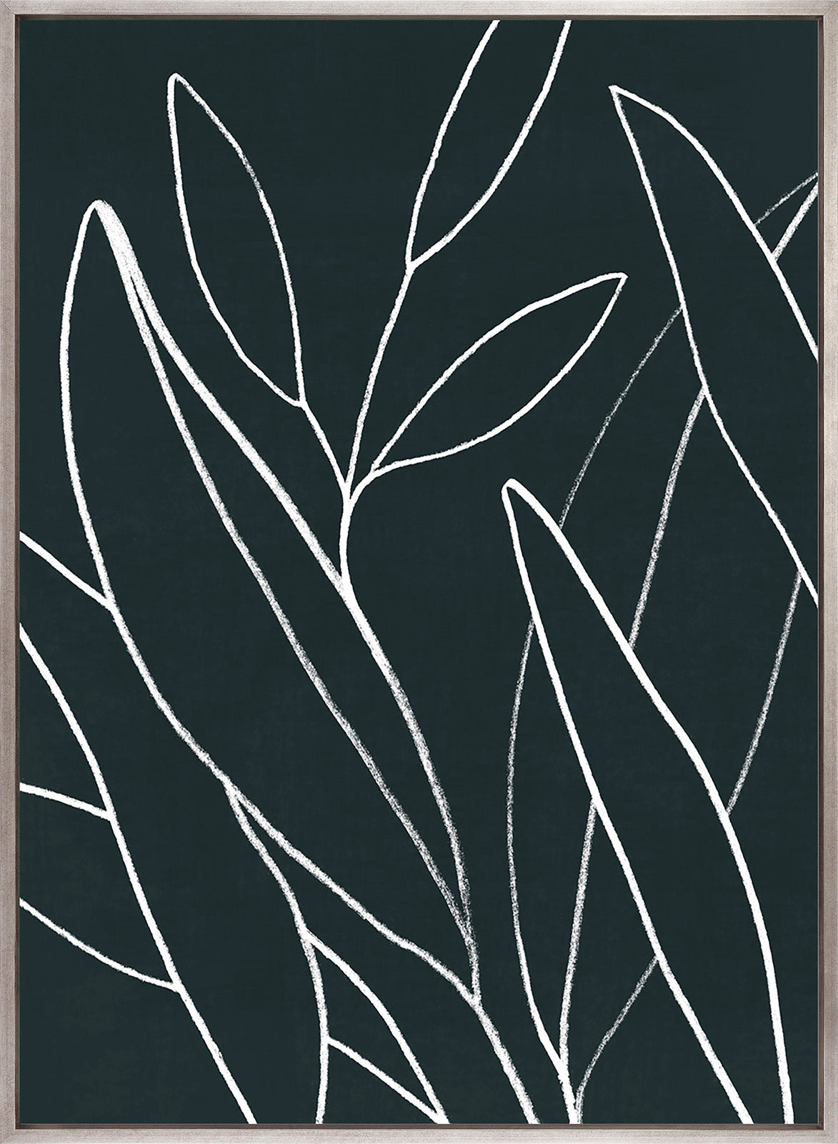 Everson Foliage I (Canvas)
