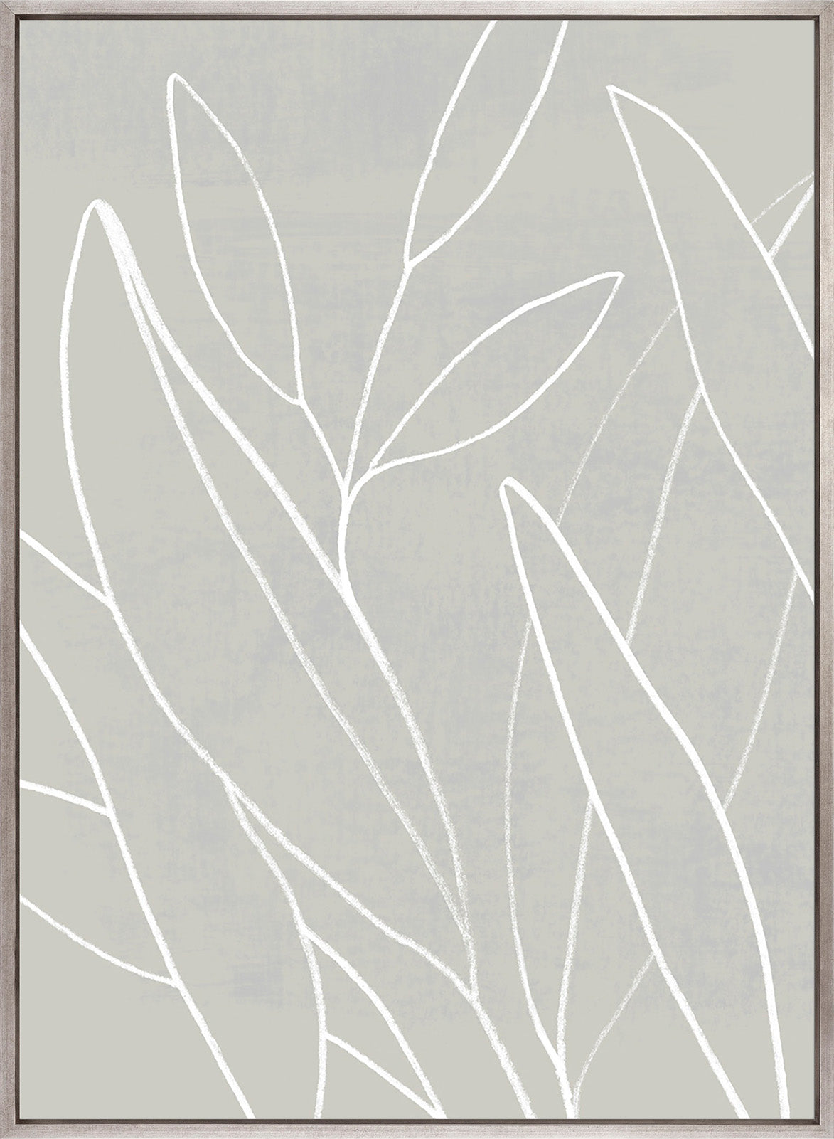 Everson Foliage III (Canvas)