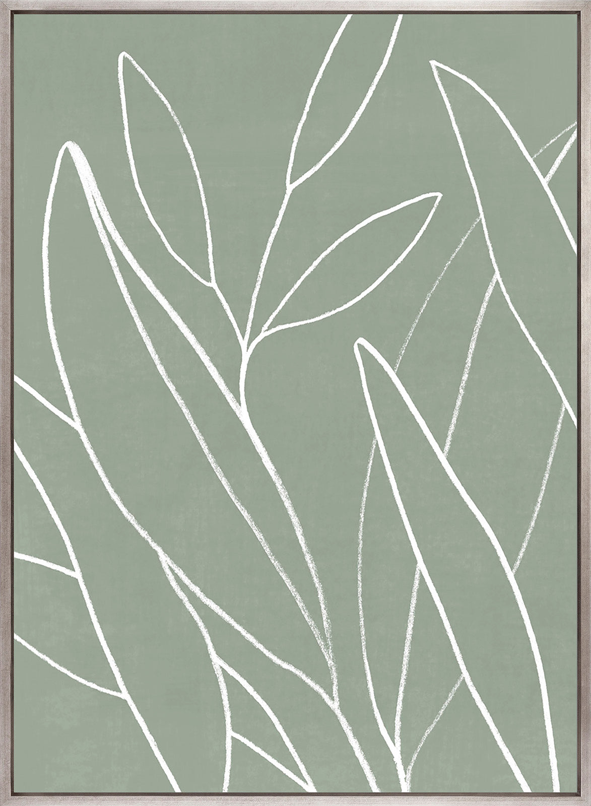 Everson Foliage IV (Canvas)