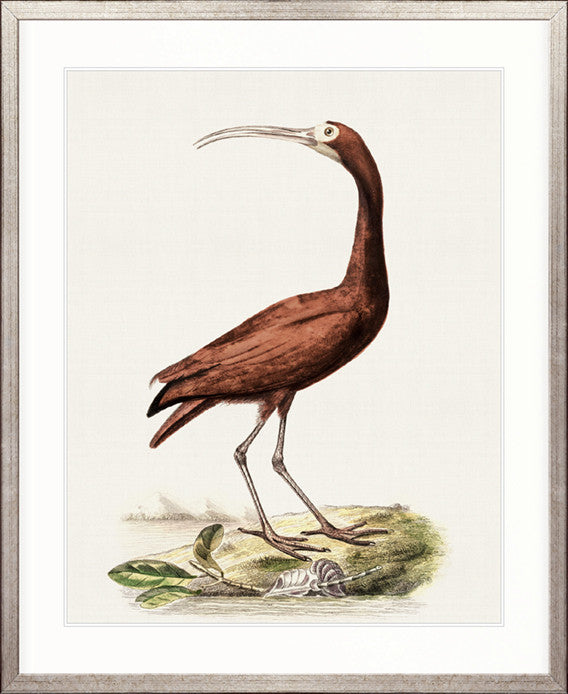 Waterbirds II