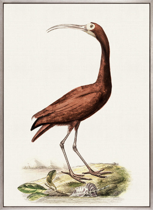 Waterbirds II (Canvas)