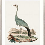 Waterbirds III