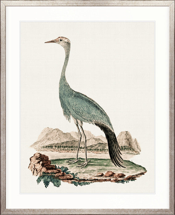 Waterbirds III