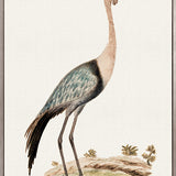 Waterbirds IV (Canvas)