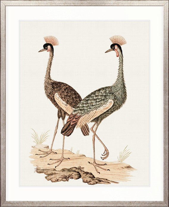 Waterbirds V