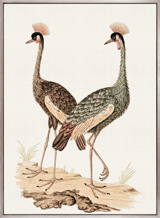 Waterbirds V (Canvas)