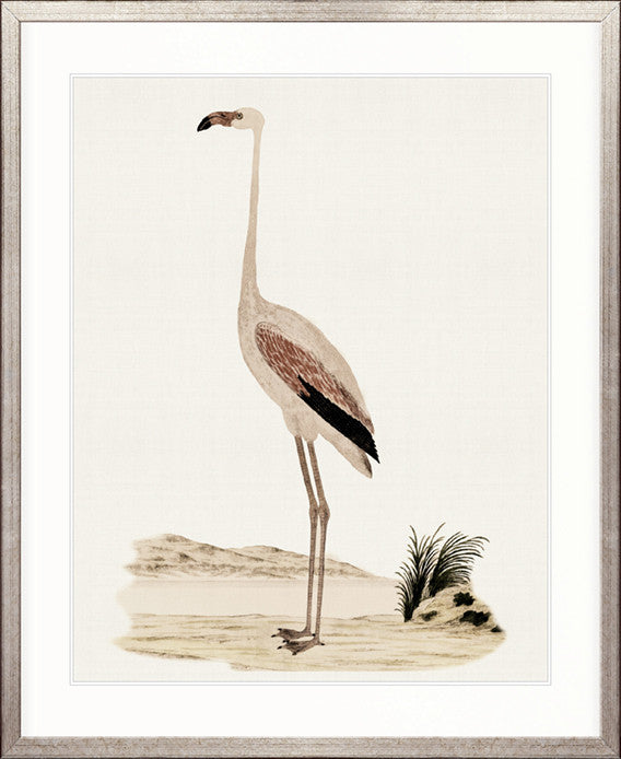 Waterbirds VI