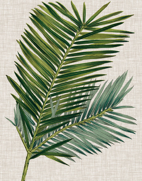 Tropical Evergreen I (Canvas)