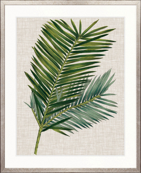 Tropical Evergreen I