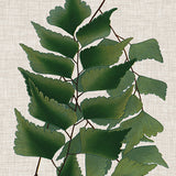 Tropical Evergreen II (Canvas) Large (903mm W x 1109mm H)