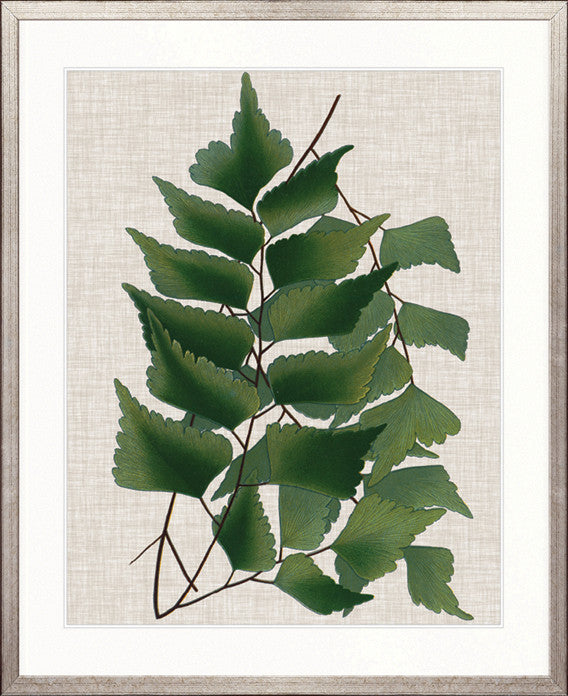 Tropical Evergreen II