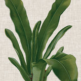 Tropical Evergreen IV (Canvas) Large (903mm W x 1109mm H)