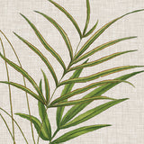 Tropical Evergreen V (Canvas) Large (903mm W x 1109mm H)