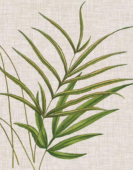 Tropical Evergreen V (Canvas)
