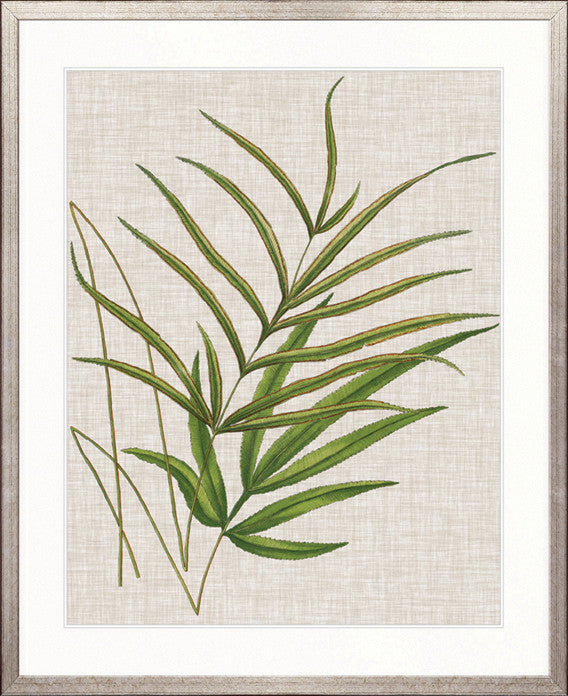 Tropical Evergreen V