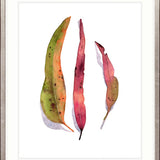 Fairbank Leaf IV