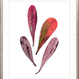 Fairbank Leaf V