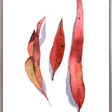 Fairbank Leaf VI (Canvas)