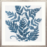 Fern Whisper I Small (550mm W x 550mm H) / Standard Clear Glass