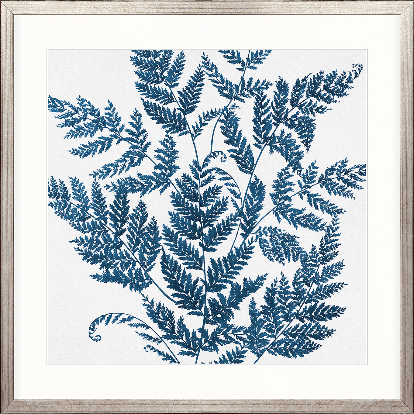 Fern Whisper I