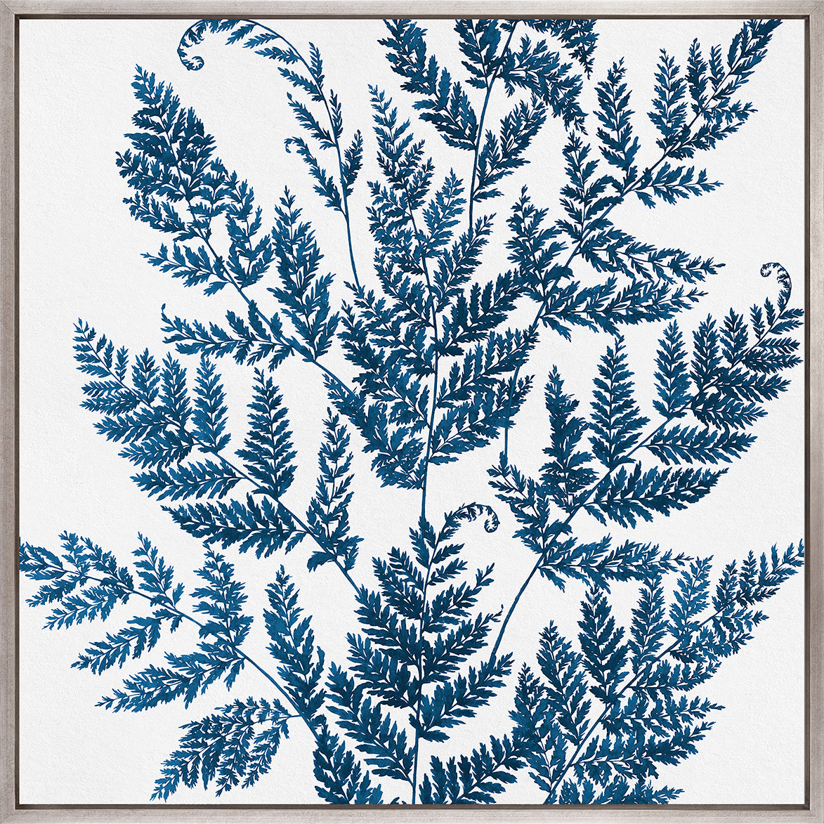 Fern Whisper II (Canvas)