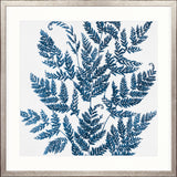Fern Whisper II Small (550mm W x 550mm H) / Standard Clear Glass