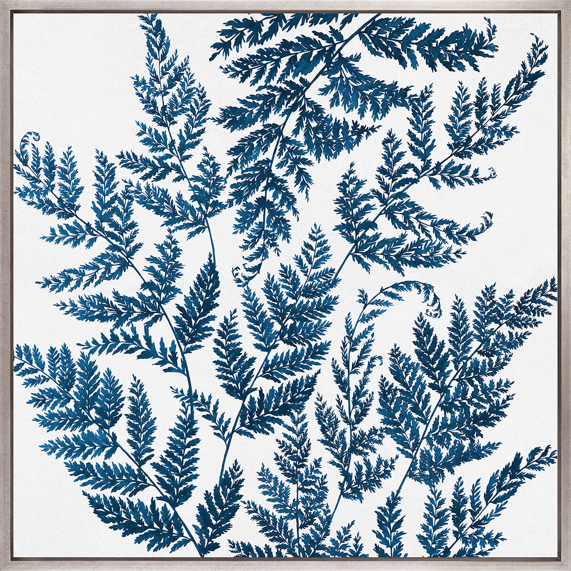 Fern Whisper III (Canvas)