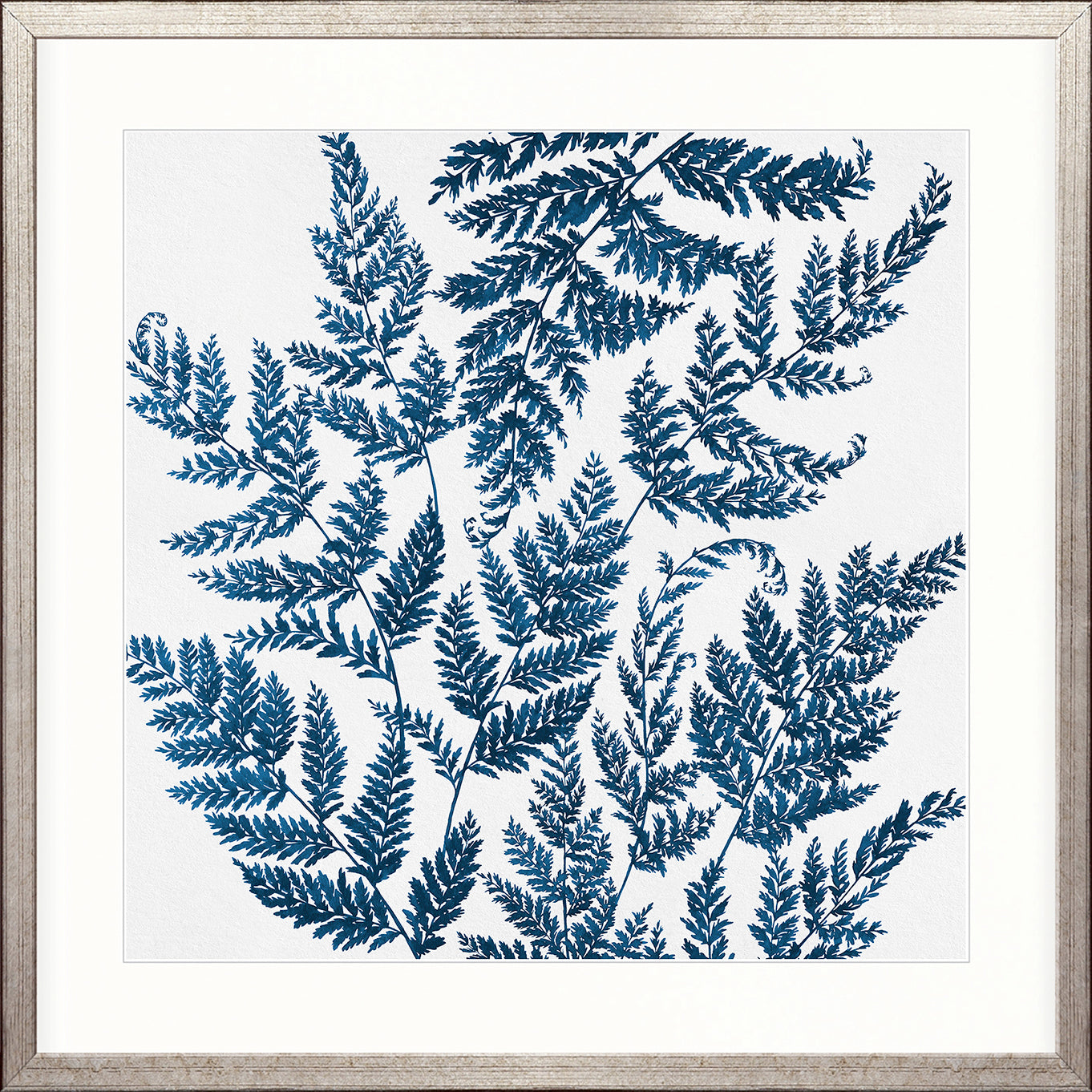 Fern Whisper III
