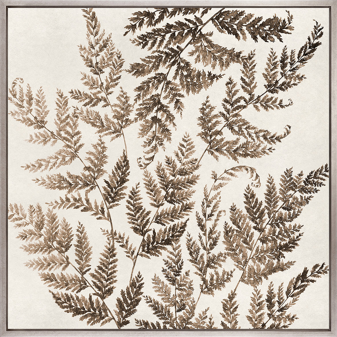 Fern Whisper IV (Canvas)