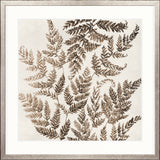 Fern Whisper IV Small (550mm W x 550mm H) / Standard Clear Glass