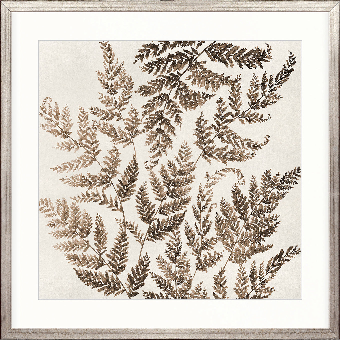 Fern Whisper IV