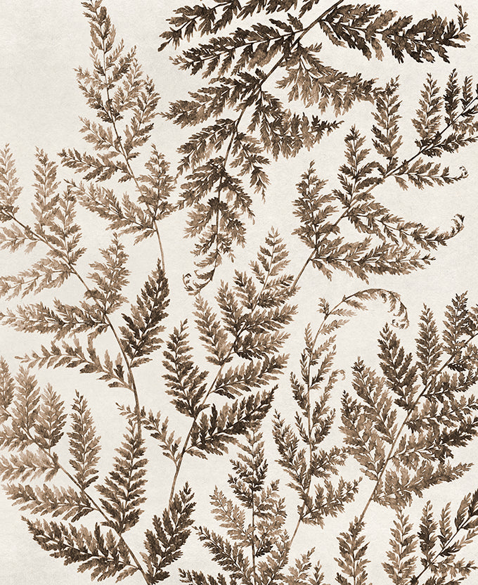 Fern Whisper IV