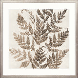 Fern Whisper V Small (550mm W x 550mm H) / Standard Clear Glass