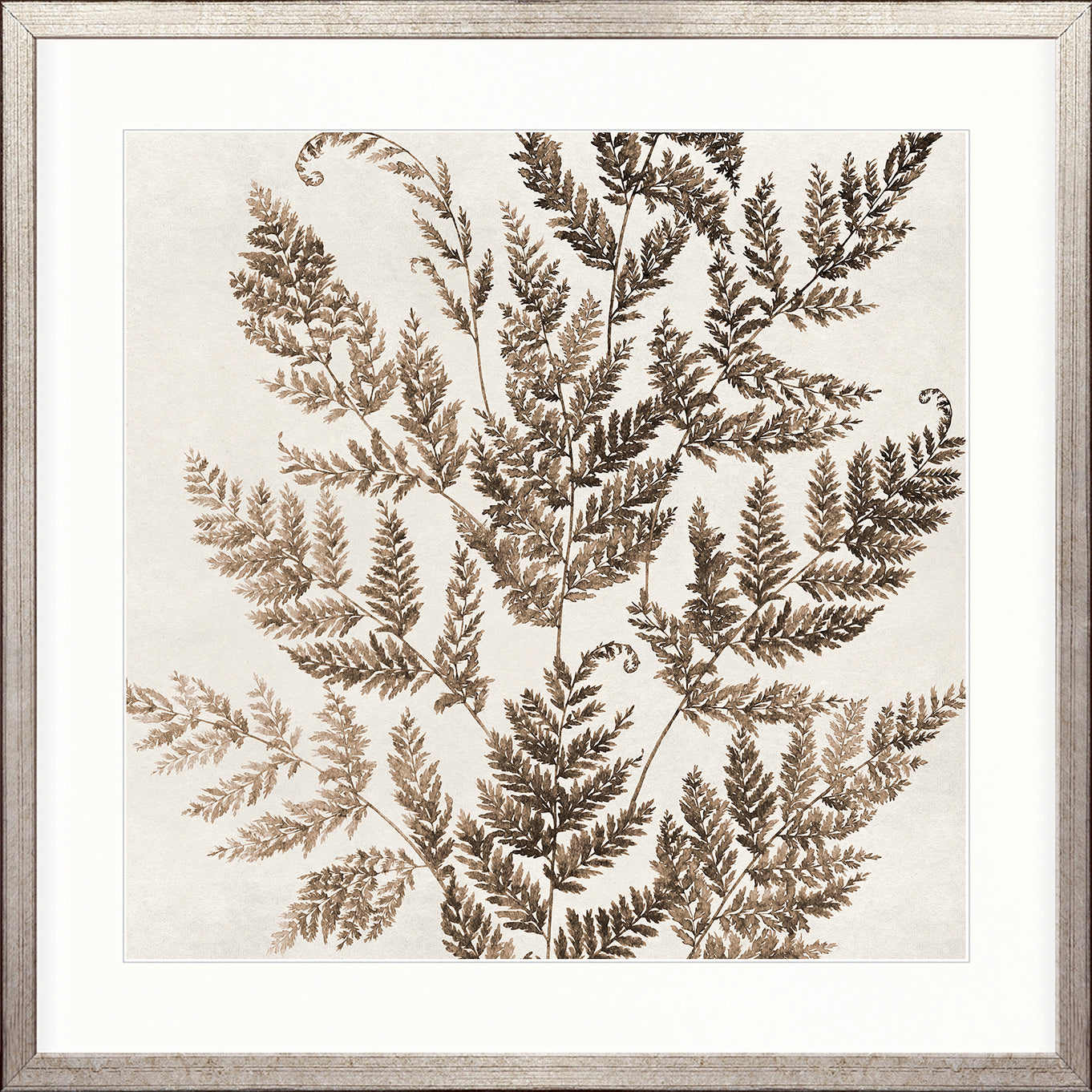 Fern Whisper V