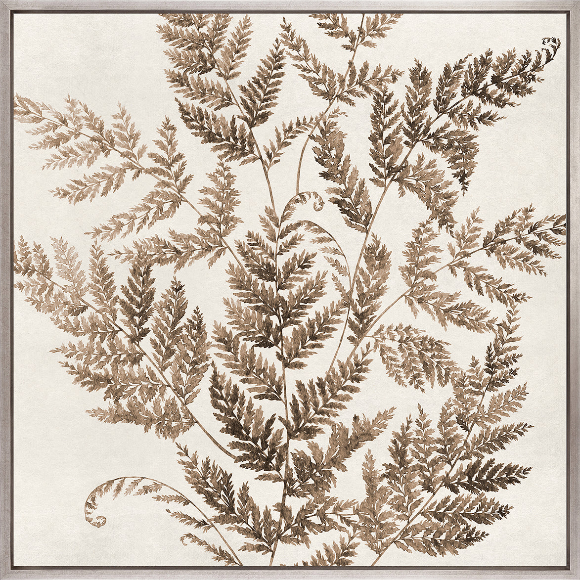 Fern Whisper VI (Canvas)