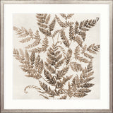 Fern Whisper VI Small (550mm W x 550mm H) / Standard Clear Glass
