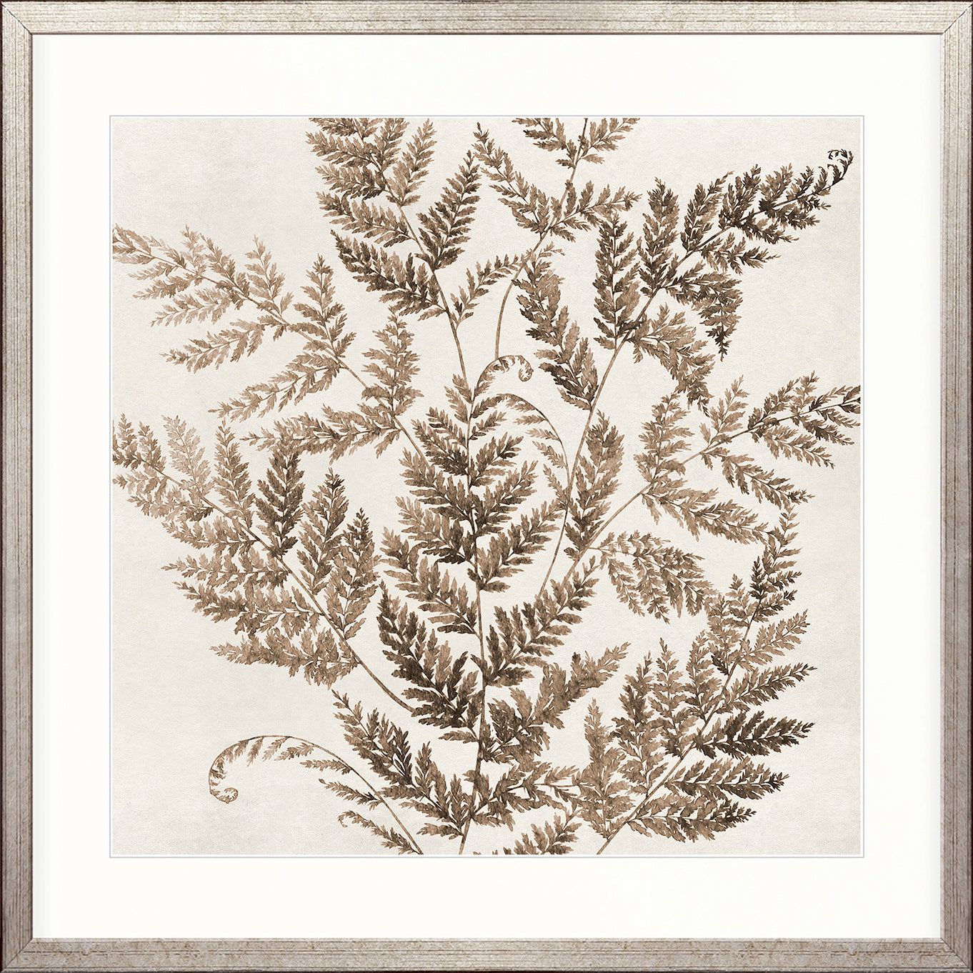 Fern Whisper VI