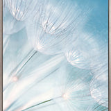 Floating Seeds I (Canvas)
